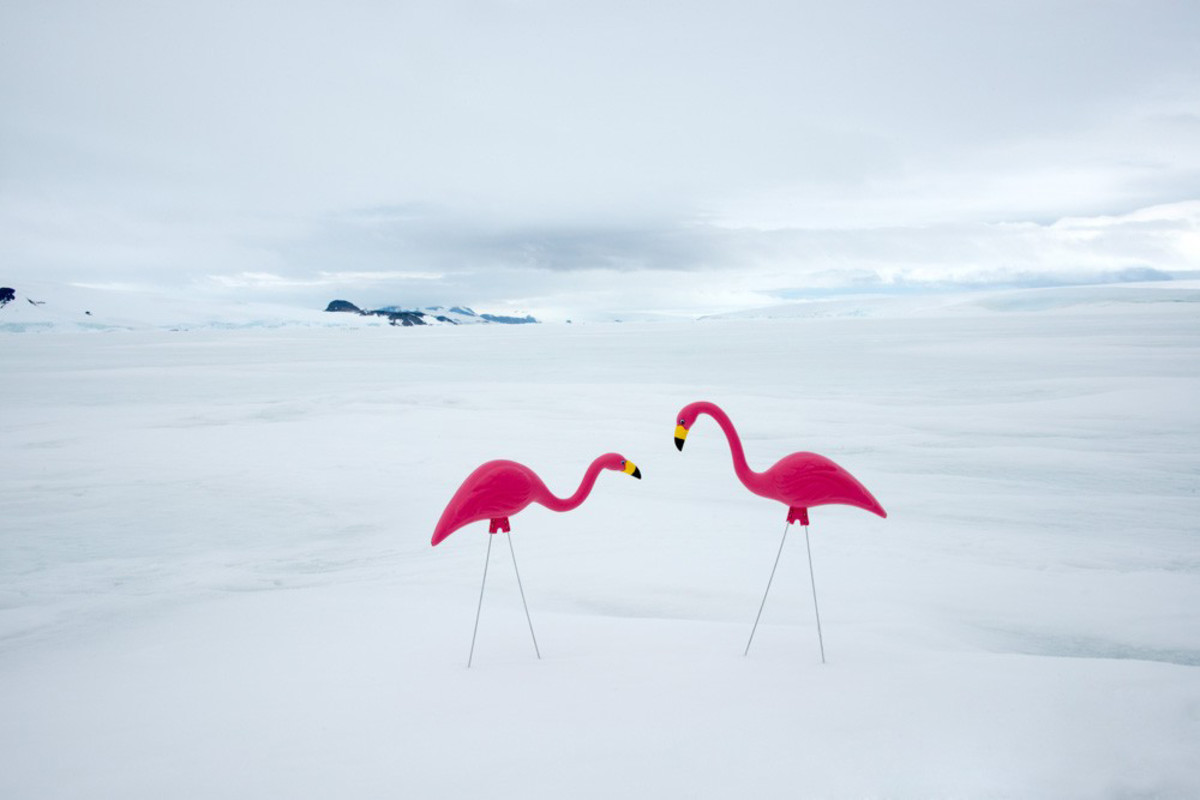 antarctica-photos-9.jpg